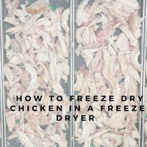 How To Freeze Dry Food (5)
